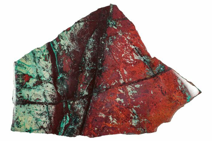 Vibrant Sonora Sunset (Chrysocolla Cuprite) Slab - Mexico #337022